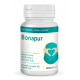 Bonapur Bonapur